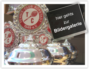 Pokale fr Tennis Club in Brstadt
